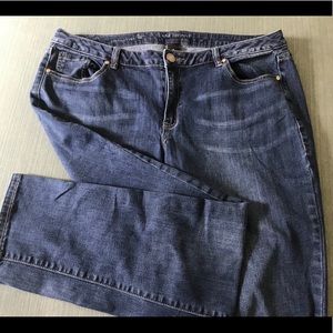 Lane Bryant Straight Leg, Genius Fit